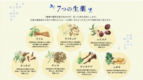 太田胃散分包48包