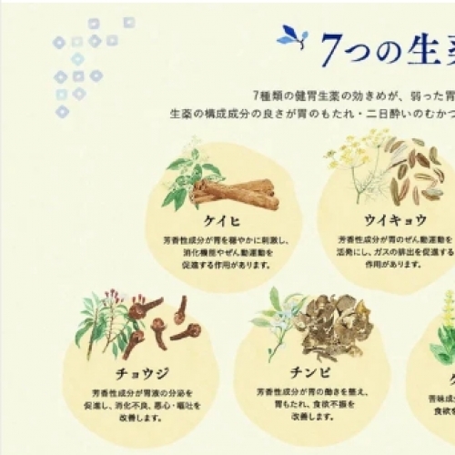 太田胃散分包48包