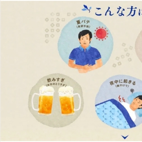 太田胃散分包48包