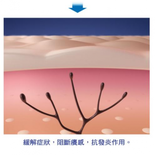 模範堂MUHI-無比止癢消炎液-50ml